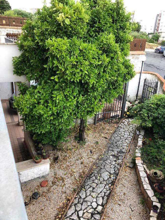 B&B San Liborio Civitavecchia Eksteriør bilde